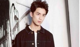 吴磊感情八卦爆料视频,视频爆料背后的真实故事